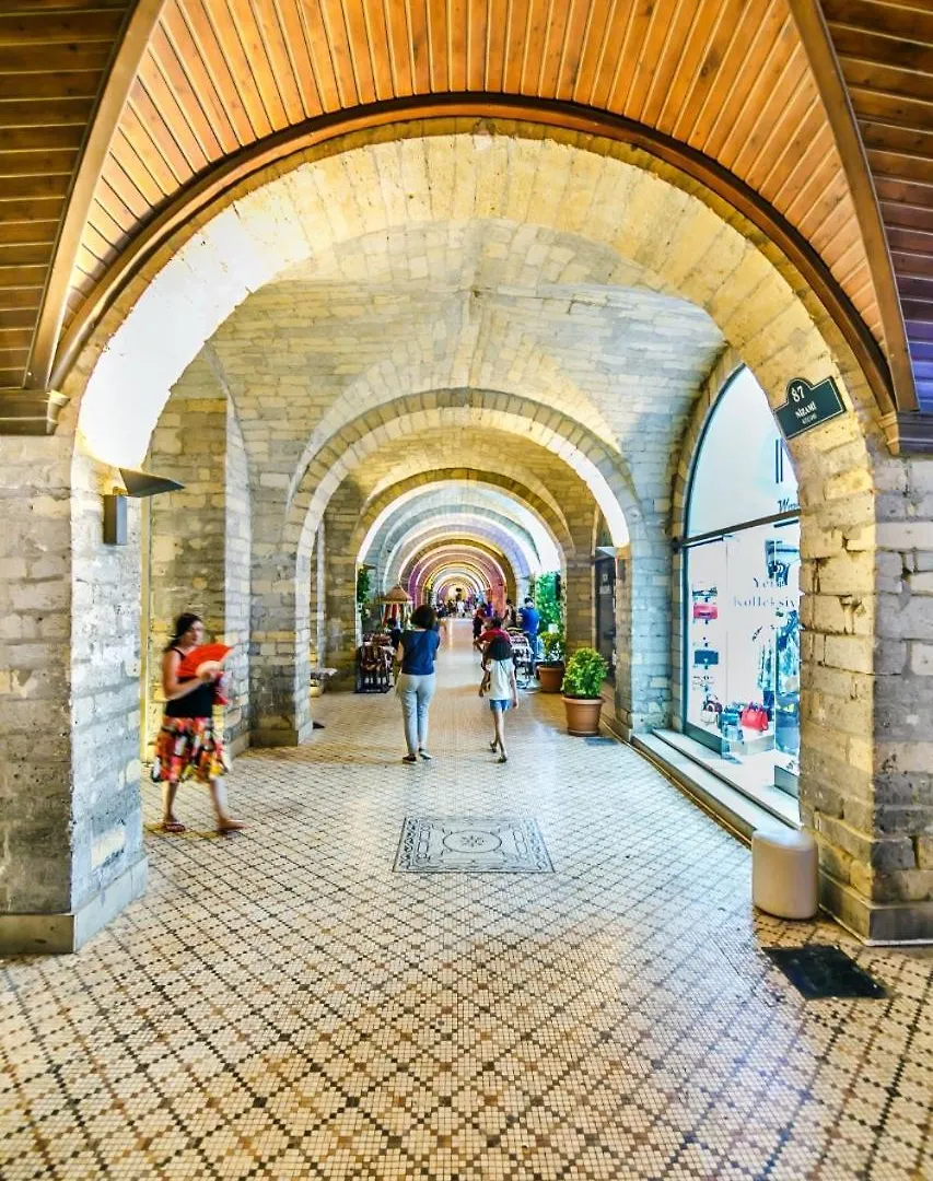 Apartment Arc In The Nizami Street Baku